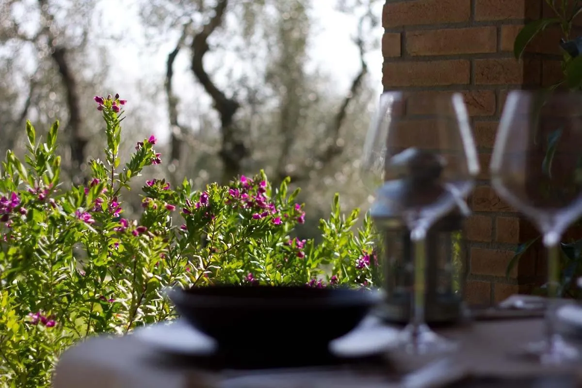 Il Bottaccio Casa Di Campagna Venturina Terme 0*,